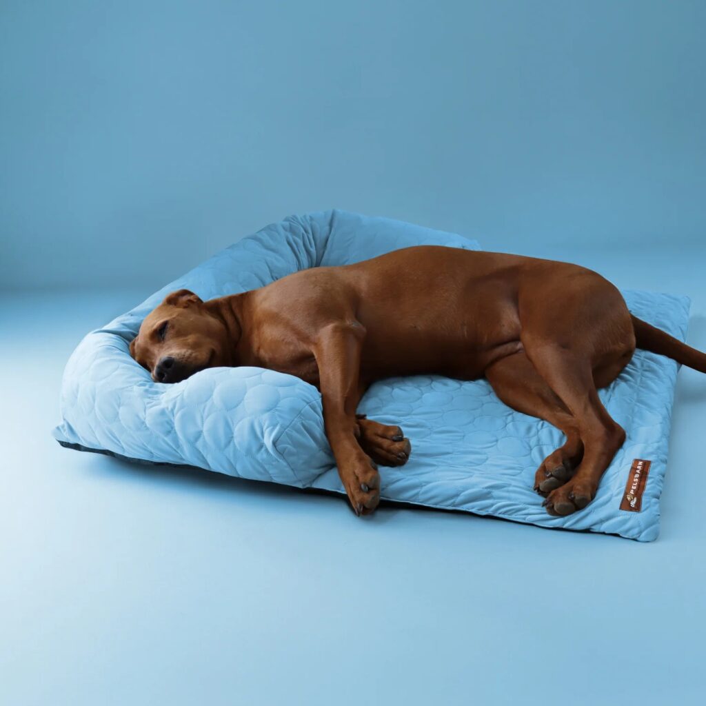 Why Pelsbarn’s Calming Dog Bed Is Every Pup’s Favorite Place 1 Cooling Sofa Bed Infographics 4b67d2ad 355f 44fc 81a0 cc7cbb1456fa
