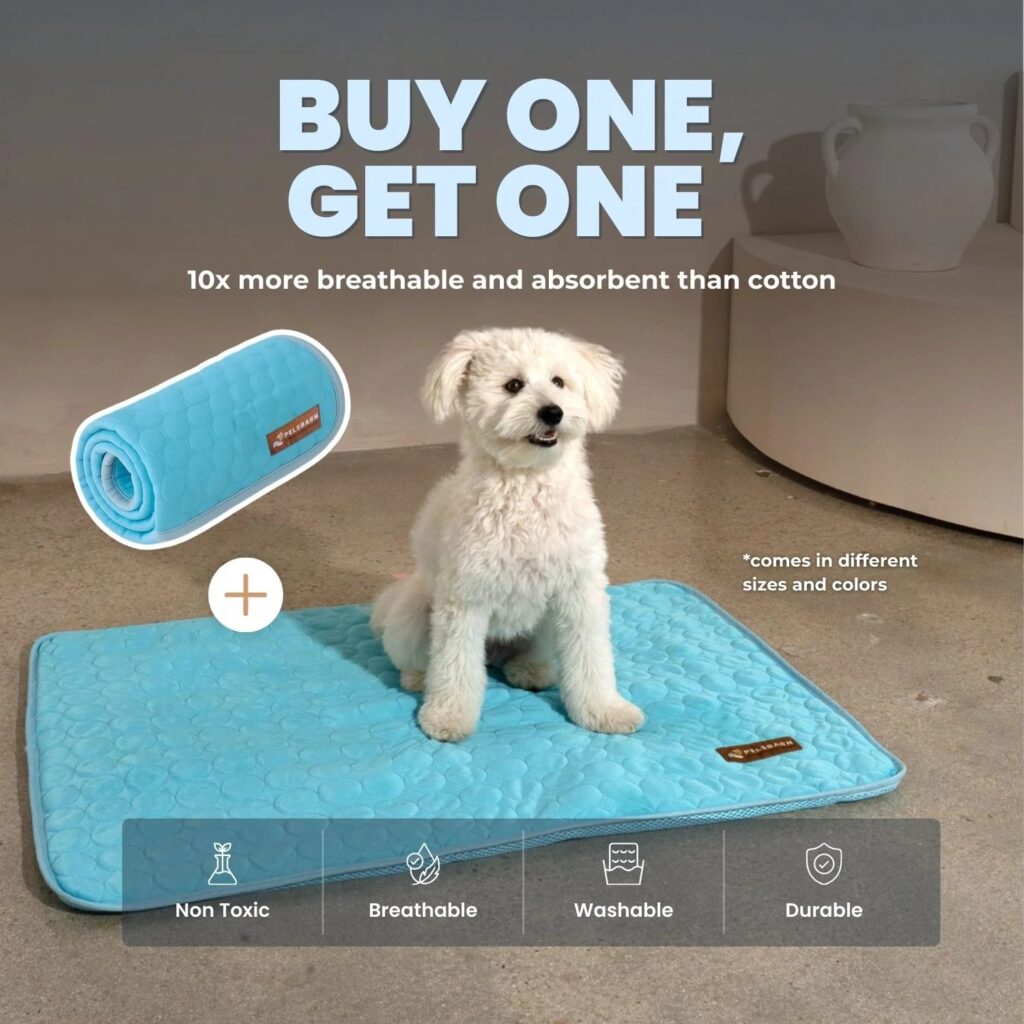 How Pelsbarn’s Calming Dog Bed Is Giving Shelter Dogs a Second Chance 1 imgi 160 13 2f4736e6 b3de 4704 b411 d469b208aa1c